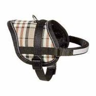 Flamingo İngiliz 31-40 cm Eeny Mini Köpek Göğüs Tasması