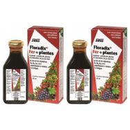 Floradix 2x250 ml Sıvı