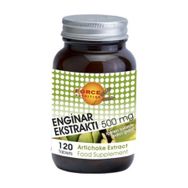 Force Nutrition Artichoke Enginar Ekstraktı 500 mg 120 Tablet