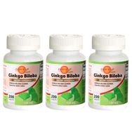 Force Nutrition Ginkgo Biloba 120 mg 3x200 Tablet