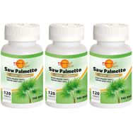 Force Nutrition Saw Palmetto 3x120 Tablet