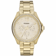 Fossil AM4482 Bayan Kol Saati