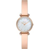 Fossil BQ3894 Kadın Kol Saati