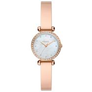 Fossil FBQ3894 Kadın Kol Saati