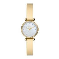 Fossil FBQ3895 Kadın Kol Saati