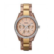 Fossil FES2866 Bayan Kol Saati
