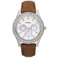 Fossil FES2996 Bayan Kol Saati