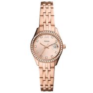 Fossil FES5038 Kol Saati