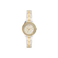 Fossil FES5138 Kadın Kol Saati