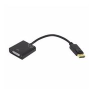 Frisby FA-6640C DSIPLAY PORT-DVI Dönüştürücü Kablo