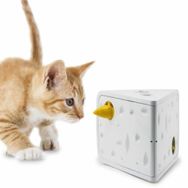 FroliCat Cheese Kedi Oyuncağı