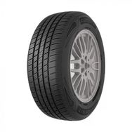 Funtoma 225/65 R17 102V SuvFun H/T Yaz Lastiği 2024
