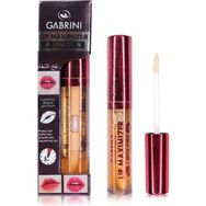 Gabrini Lip Maximizer Lipgloss Dudak Dolgunlaştırıcı