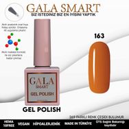 Gala Smart 10 ml NO:163 Classic Kalıcı Oje