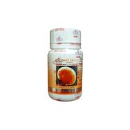 Gano Excel Excellium Ganoderma 90 Kapsül
