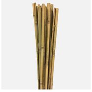 Gardener Bambu 90 cm Bitki Destek Çubuğu