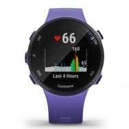 Garmin Forerunner 45S Mor Akıllı Saat