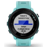Garmin Forerunner 55 Akıllı Saat