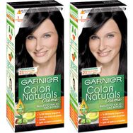 Garnier Color Naturals No:1.0 Extra Siyah 2 Kutu Saç Boyası