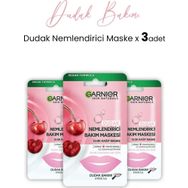 Garnier Dudak Nemlendiricisi 5 gr 3 Adet Kağıt Bakım Maskesi