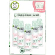 Garnier Mineral Hyaluronik Bakım 5x50 ml Roll-On
