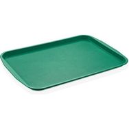 GastroPlast 37X53 cm Abs Yeşil Servis Tepsisi