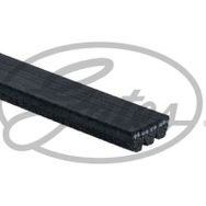 Gates 3PK842SF Kanallı Kayış