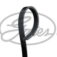 Gates 4PK643SF Kanallı Kayış