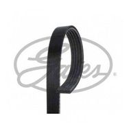 Gates 5PK1030 Kanallı Kayış