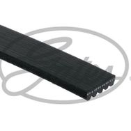 Gates 5PK1040 Kanallı Kayış
