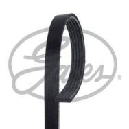 Gates 5PK1148 Kanallı Kayış