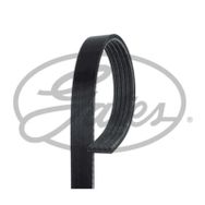 Gates 5PK1765 Kanallı Kayış