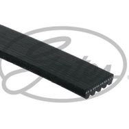 Gates 5PK858 Kanallı Kayış