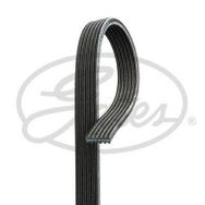 Gates 6PK1228 Kanallı Kayış