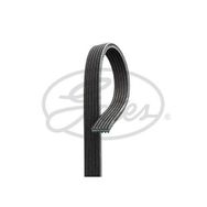 Gates 6PK2033 Kanallı Kayış