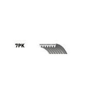 Gates 7PK1275T Kanallı Kayış
