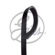 Gates 7PK1685XS Kanallı Kayış