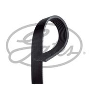 Gates 7PK2285 Kanallı Kayış