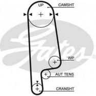 Gates K015234XS Honda Accord 1990 1998 Eksantrik Rulman Kiti