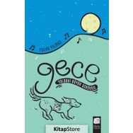 Gece - Harika Bir Plan - Fulya Yılmaz