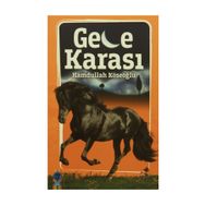 Gece Karası - Hamdullah Köseoğlu