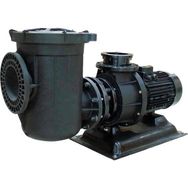 Gemaş FLOODER 12,5 HP Trifaze Havuz Pompası