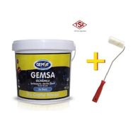 Gemsa Ihlara 1 kg Silikonlu Dış Cephe Boyası