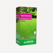 Genta Güzel Görünüm 1 kg Çim Tohumu