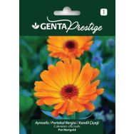 Genta Prestige Aynısefa Portakal Nergisi Kandil Çiçeği Tohumu