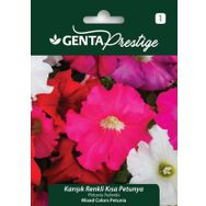Genta Prestige Karışık Renkli Kısa Petunya Tohumu
