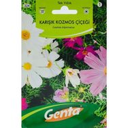 Genta Prestige Kozmos Çiçeği Meksika Yıldızı Tohumu