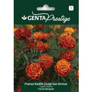 Genta Prestige Sarı Kırmızı Fransız Kadife Çiçeği Tohumu