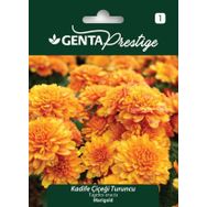 Genta Prestige Turuncu Kadife Çiçeği Tohumu