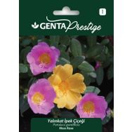 Genta Prestige Yalınkat İpek Çiçeği Tohumu